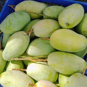 Mangga Manalagi