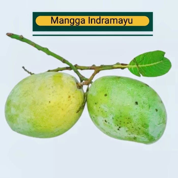 Mangga Harum Manis
